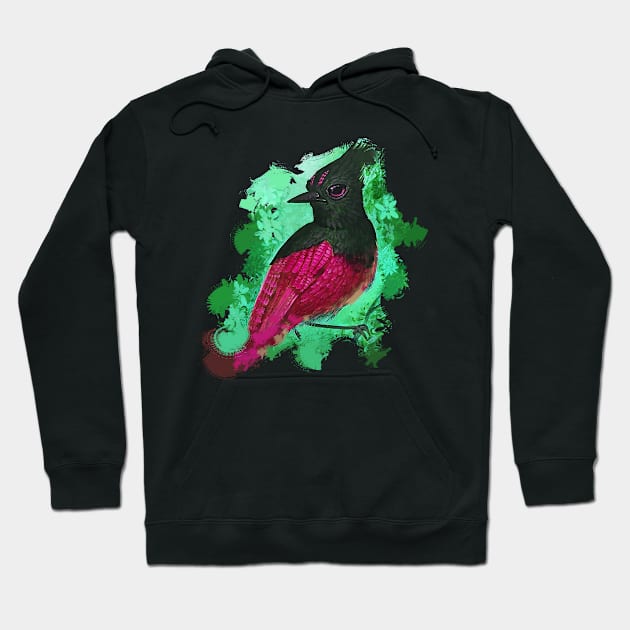 Magenta Steller's Jay All Day Hoodie by Hutchew